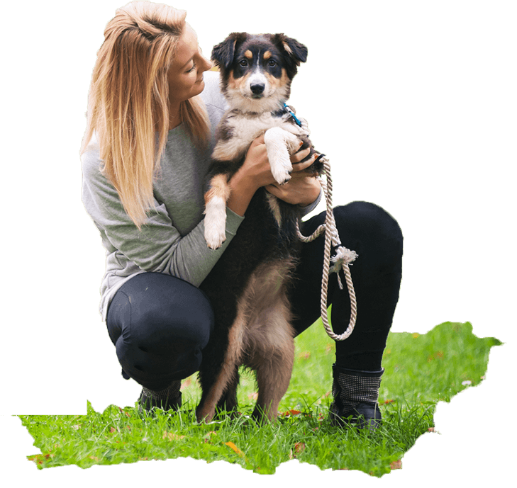 Dog Boarding South Morang